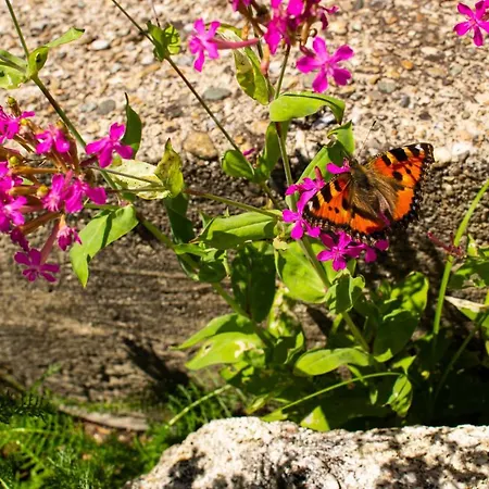 Ploeckenstein Tatil Evi