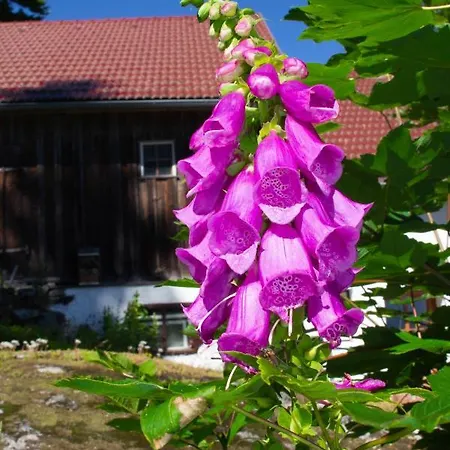Ploeckenstein Сasa de vacaciones Schwarzenberg am Bohmerwald