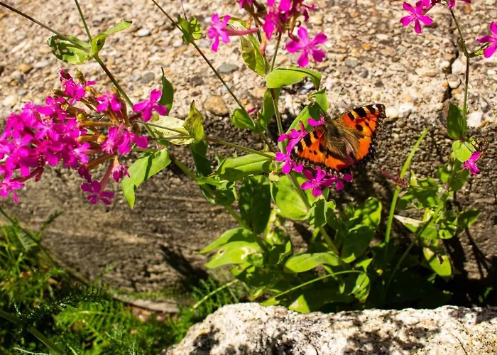 Ploeckenstein Nyaraló
